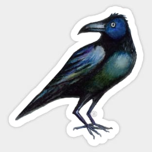 Raven Sticker